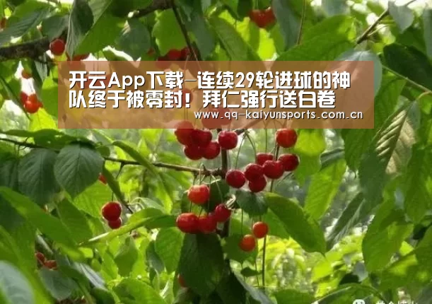 开云
