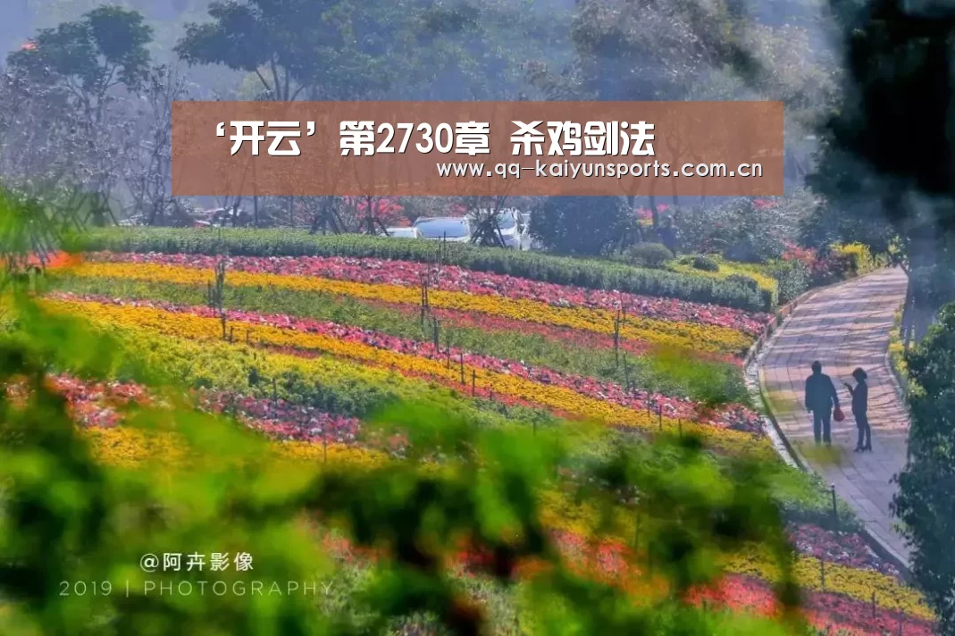 开云App下载